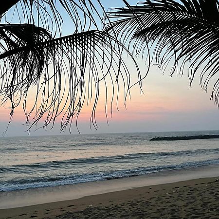 Hotel Coconut Bay 卡卢特勒 外观 照片