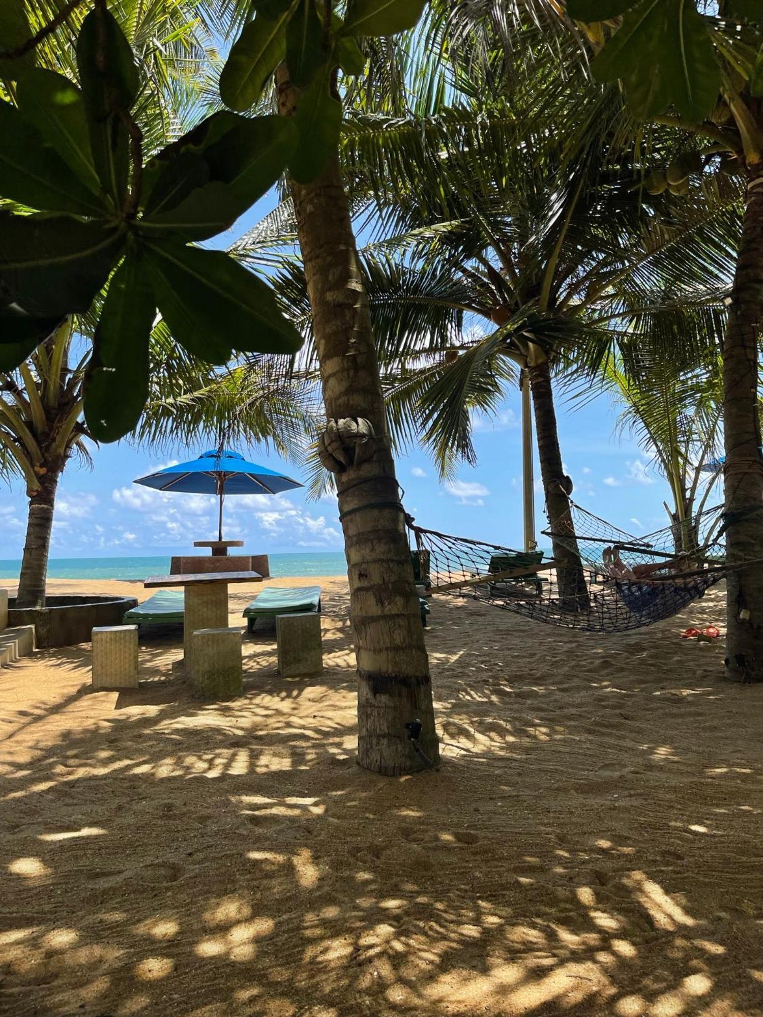 Hotel Coconut Bay 卡卢特勒 外观 照片