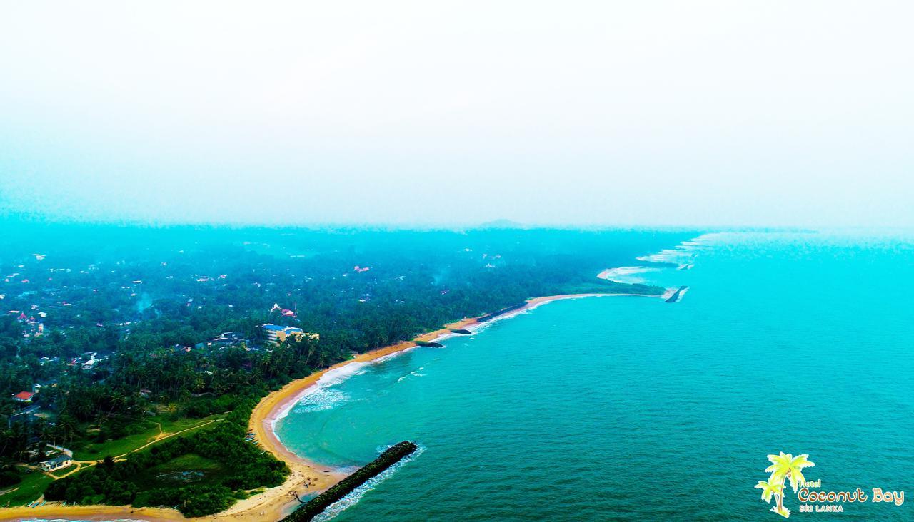 Hotel Coconut Bay 卡卢特勒 外观 照片